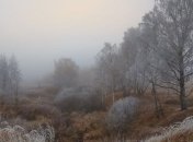 Мороз до -12: синоптики дали холодный прогноз на выходные 