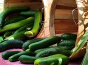 Уловки, продолжающие свежесть огурцов