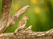 Какой церковный праздник 25 августа 2025 года — День памяти апостола Вартоломея