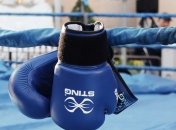 Боксерські рукавички