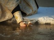 Хрещення Господнє 2022