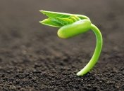 Фермеры требуют от Президента продлить мораторий  на землю