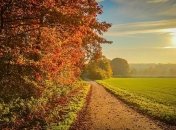 "Летнее" тепло и резкие похолодания: каким будет сентябрь в Украине