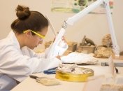 Самое старое из найденных: ученые обнаружили древнейшую окаменелость слизи