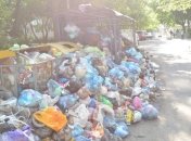 Во Львове все мусорные площадки очистили от отходов