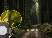 В Запорожье на земле заметили "деликатес"