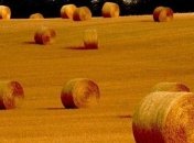 Приметы и обряды на 4 сентября - Агафон-огуменник