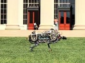 Робот-гепард научился бегать и прыгать без поводка