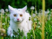 Не дивуйтесь, адже осінь близько