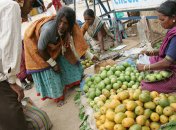 Опасность для людей может крыться даже в немытых опавших фруктах.