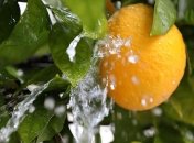 Турция запретила экспортировать лимоны из-за коронавируса