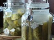 Цей білий наліт може зіпсувати всю партію огірочків