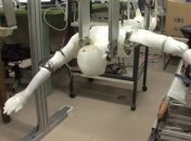 Японские ученые создали робота-пловца (Видео)