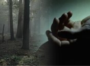 Тело девушки нашли в лесополосе. Иллюстрация