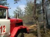 На Луганщине снова произошел лесной пожар