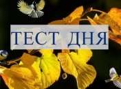 Пройдите этот визуальный тест, чтобы лучше понять свои истинные желания