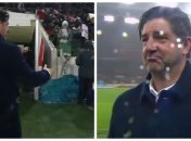 Руй Віторія