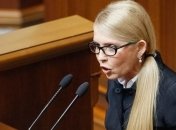 Рынок земли: "Батькивщина" готовит обращения в НАБУ и ГБР 