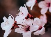 Какой праздник 23 апреля: народные приметы и запреты