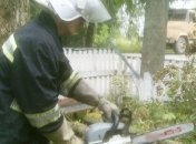 В Житомирской области на магазин упало горящее дерево