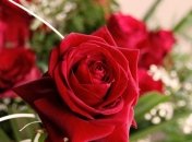 Роскошные поздравления с Днем рождения в прозе 23 января