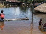 Из-за наводнения в Нигере погибли 30 человек