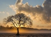 До +18°, дожди и ветер: синоптики обещают сырую и теплую погоду