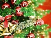 Поздравляем победителя конкурса «Хвастайся своей ёлкой и получай подарок»