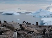 Южный полюс оказался очень восприимчив к потеплению: разогревается в три раза быстрее остального мира