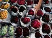 Идеи оригинальных цветочных горшков