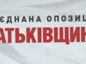 "Батькивщина" подготовила Президенту 7 требований