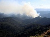 В Канаде из-за лесных пожаров эвакуируют 5 тысяч человек