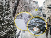 Погода в Украине на Новый год и Рождество