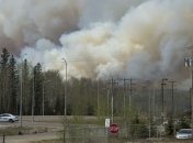 За стуки в лесных пожарах выгорело почти 17 тысяч гектаров