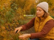 Как ухаживать за ягодными кустами осенью