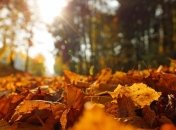 Летняя жара: синоптик пообещала продолжение бабьего лета 