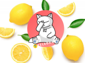 Проблема виникла через акцію