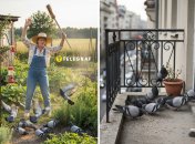 Голуби могут стать настоящей проблемой, поэтому их нужно прогонять