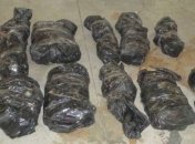 Закарпатские пограничники задержали партию янтаря