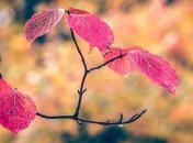 Какой праздник 6 ноября 2019 года: приметы и что нельзя делать в этот день