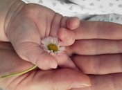В Одессе мать инсценировала "похищение" своего 7-месячного ребенка