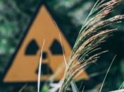 Загрязнения почвы цезием и плутонием: ученые уточнили карту концентраций