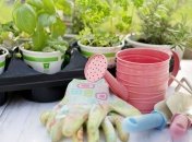 Лунный посевной календарь с 17 по 23 июня 2019 года