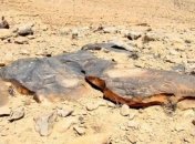 В древности на Земле был единый язык?