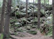 Ялтинский заповедник в этом году посетило 50 тысяч туристов