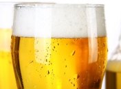 Пиво плохо влияет на работу мозга