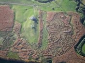 Пришельцы не помогали: Искусство рисования на кукурузных полях (Фото)