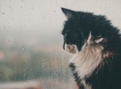 Атмосферный фронт принесет холод: синоптик озвучила прогноз погоды в Украине на 5 марта