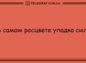 Лучшее средство от осенней хандры: подборка смешных анекдотов