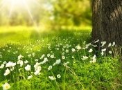 16 августа - праздник, что категорически запрещено делать, главные приметы